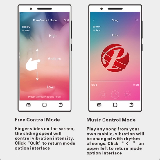 Вагинальные шарики Pretty Love Elvira